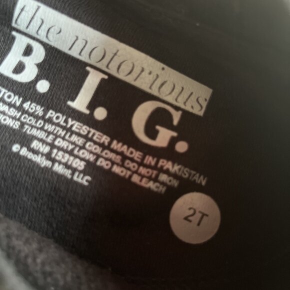 Toddler Kids Notorious B.I.G. Biggie Smalls Pop Art Crown Sweatshirt Size 2T - Picture 3 of 3